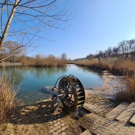 20220326_154723-1.jpg