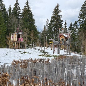 20230415_122826.jpg