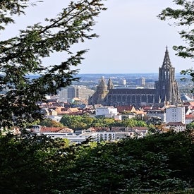 20230917_163059-1.jpg