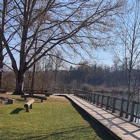 20220326_153806.jpg