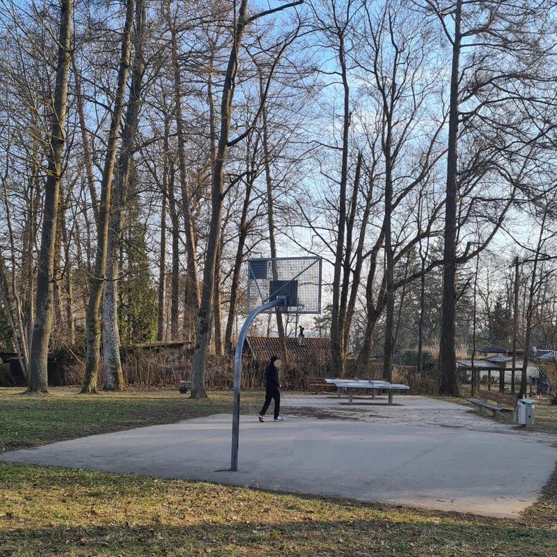 fotor_1647437854695.jpg
