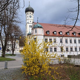 20230325_114557.jpg