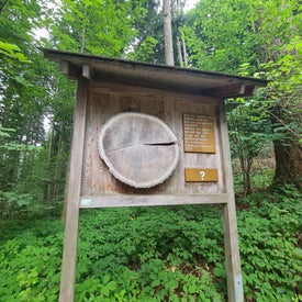 20220729_162632-1.jpg
