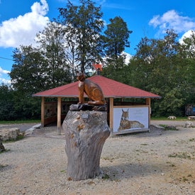 20230924_133418-1.jpg