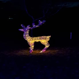 20231229_174710-1.jpg