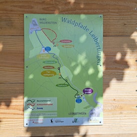 20230924_111513-1.jpg