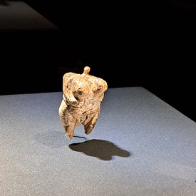 20230223_151955-1.jpg