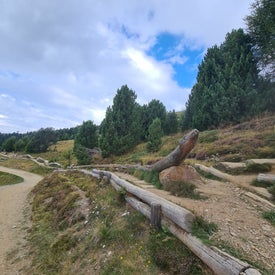 20220815_114555-1.jpg