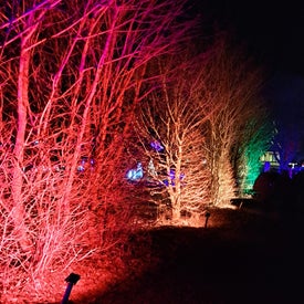20231229_182448-1.jpg