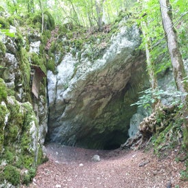 IMG-20210721-WA0010.jpg