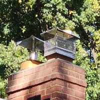 4346630818459299981-standard-m1wvzd.jpg