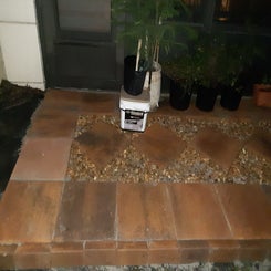 20201103_180056-standard-k72a2p.jpg