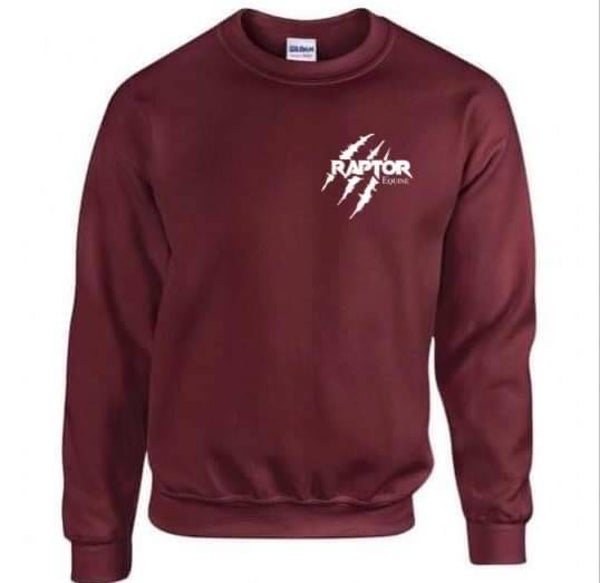Raptor sweatshirt jumper