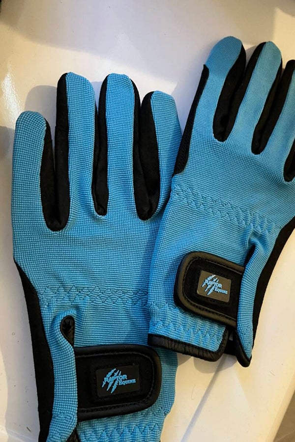 Dino egg blue riding gloves