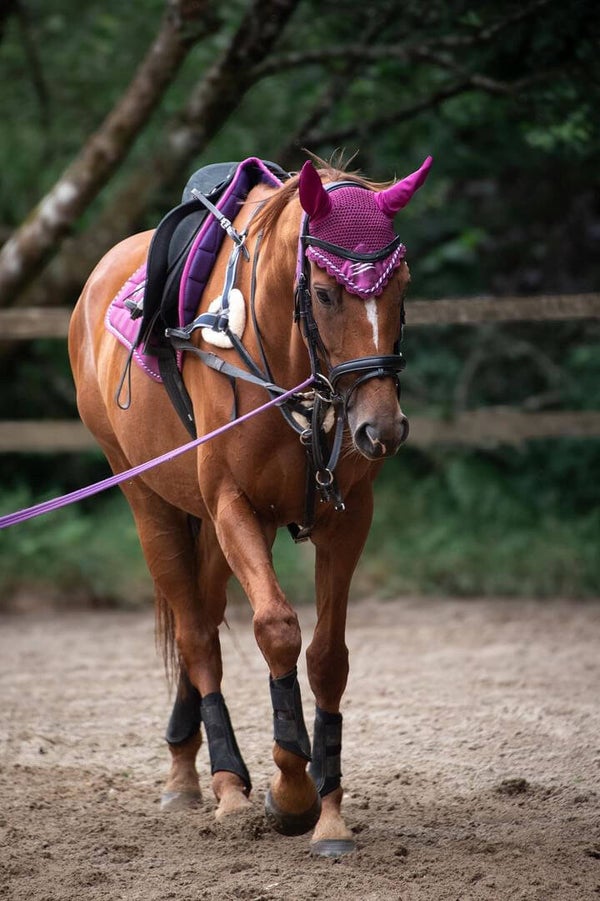 Bambi berry saddlepad, ears and hatsilk set
