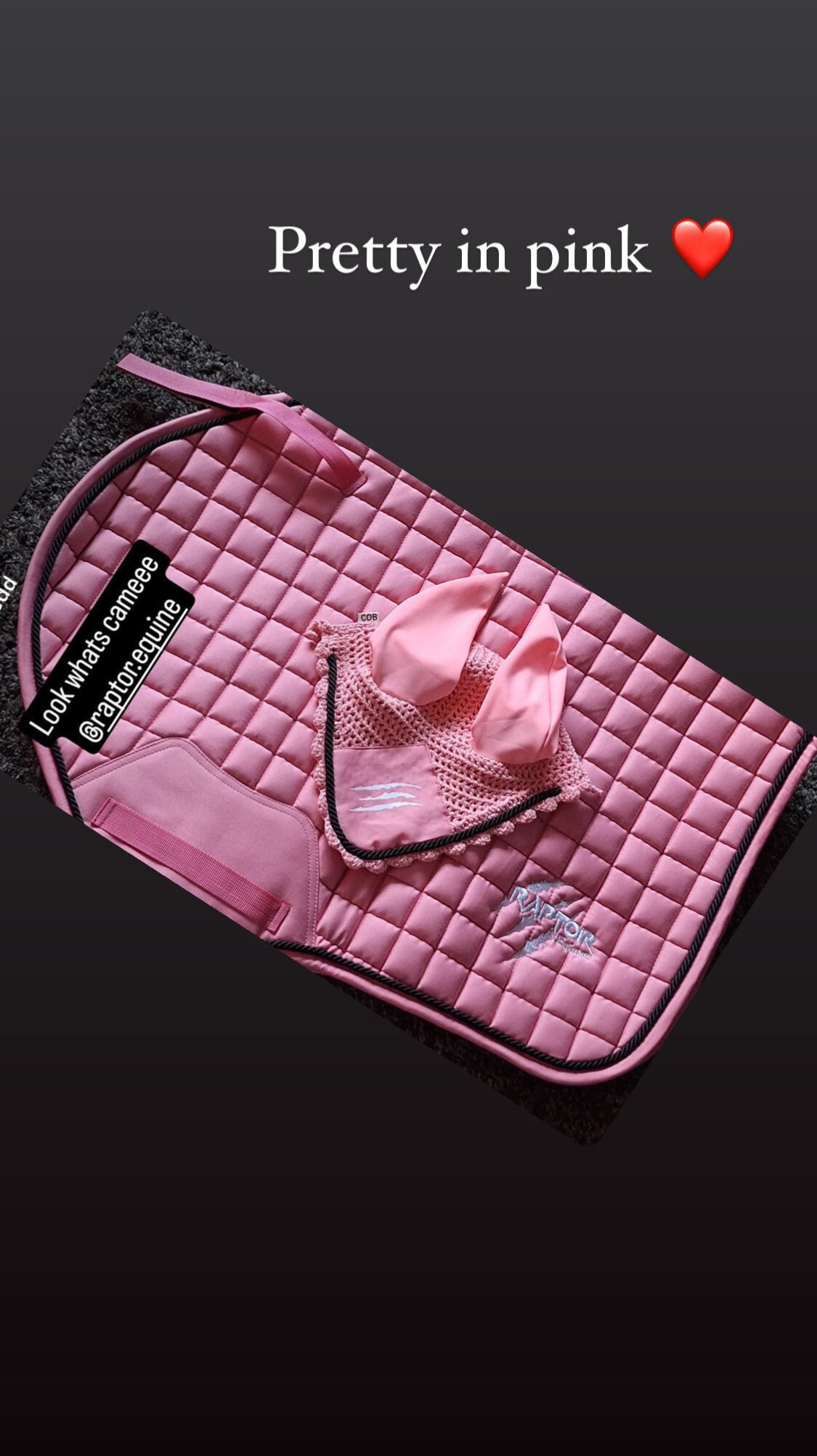 Dusky dino pink pad, ears and hatsilk