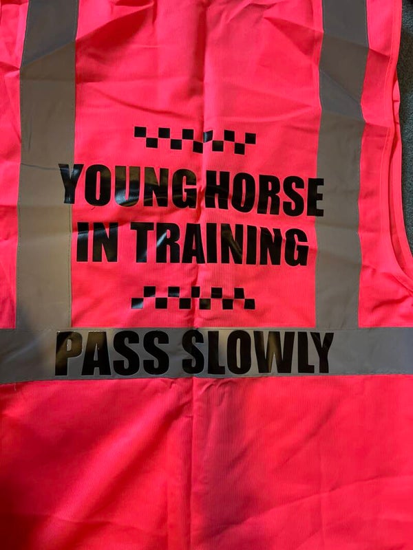 Pink zip up with pockets hi viz small