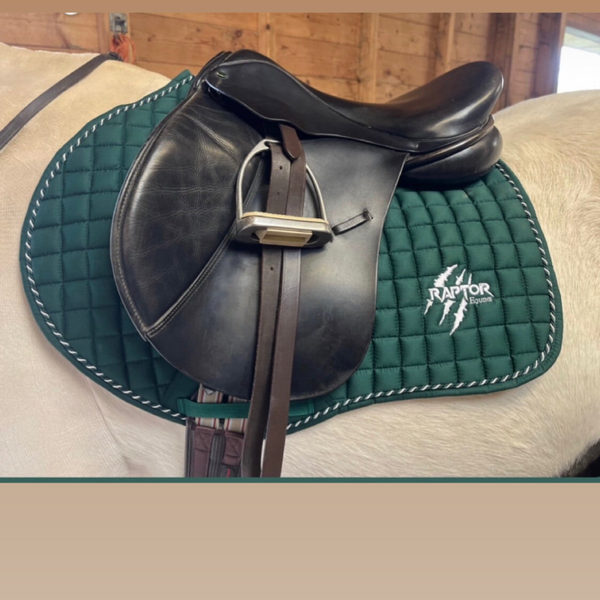 Jurassic green saddlepad