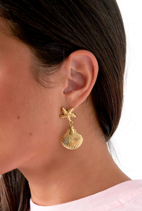 Seashell