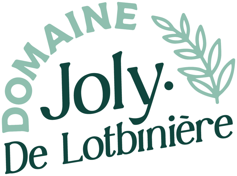 logo-domaine-joly-standard.png