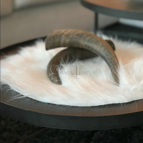 Buffelhoorn natuur set/2