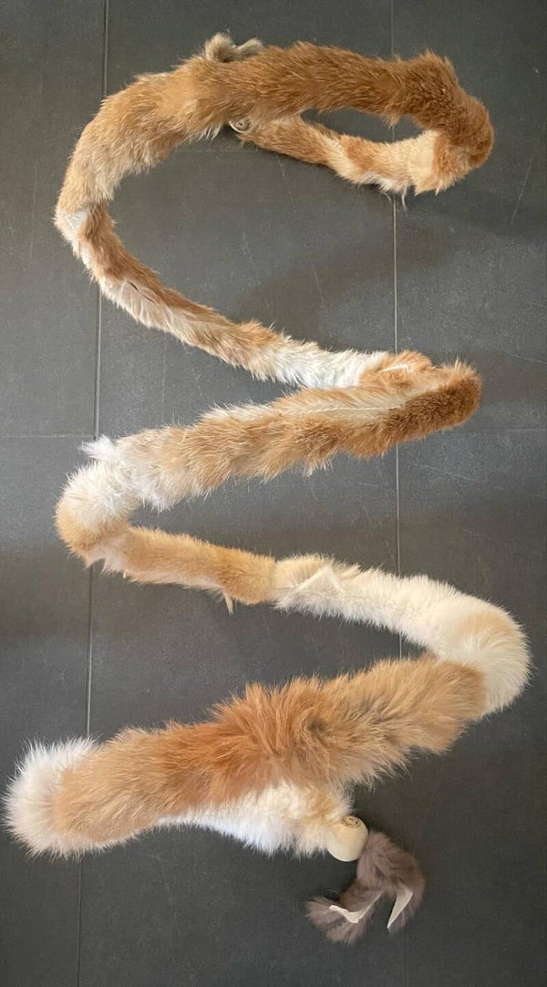 Spiralis Cuniculus Cattery