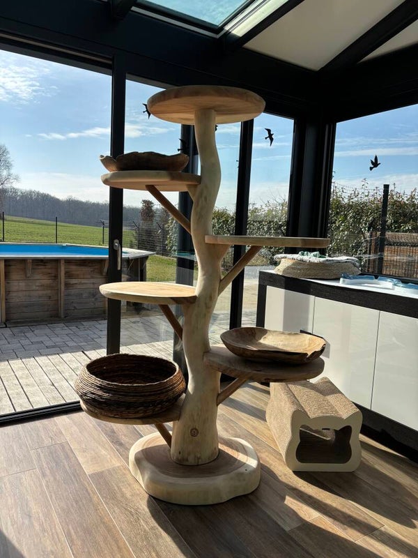 Maisonette Jumbo Maxima