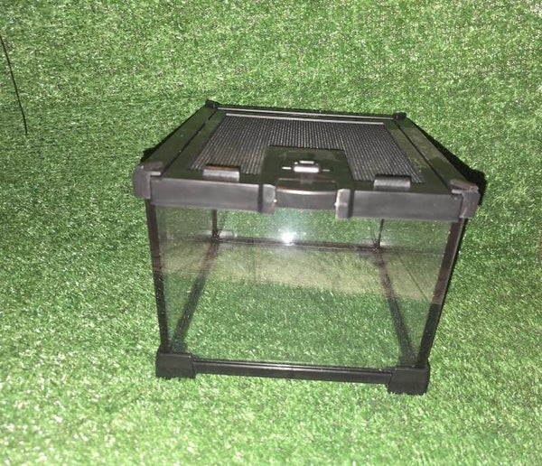 Terrarium - 20 × 20 × 16cm