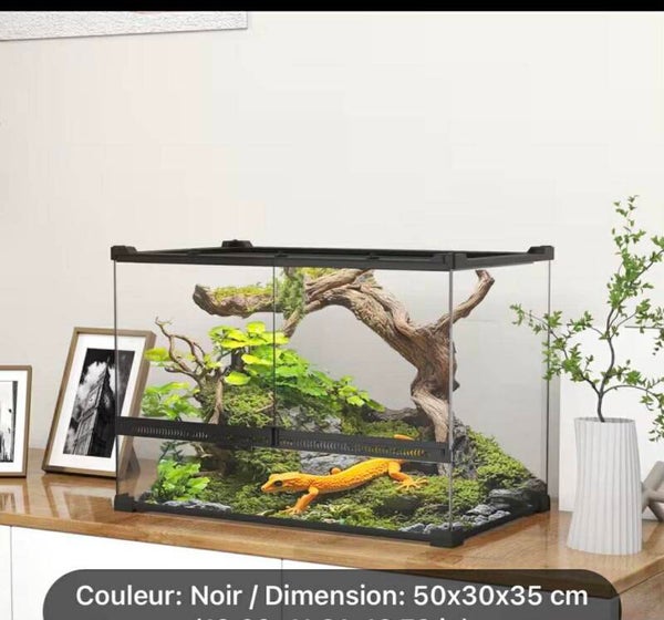 Terrarium en Verre 50 × 30 × 35 cm
