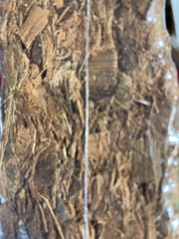 Morceaux de copeaux de coco substrat