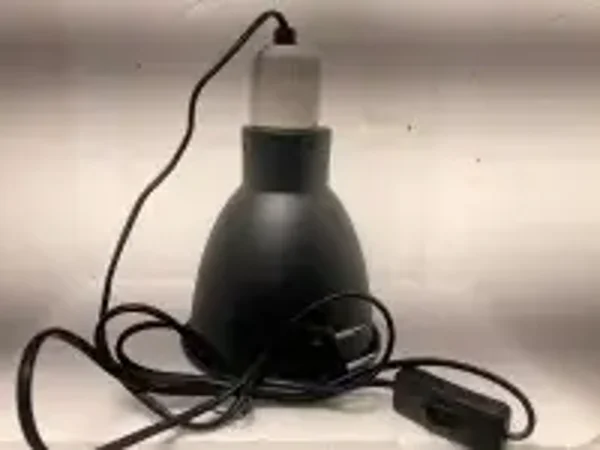 Kit élevage poussin ou chiot 100w