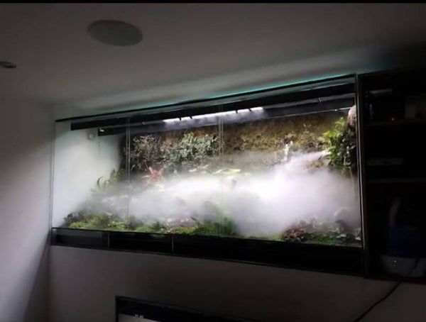 Centrale de Brumisation Fogger – Humidificateur pour Terrarium
