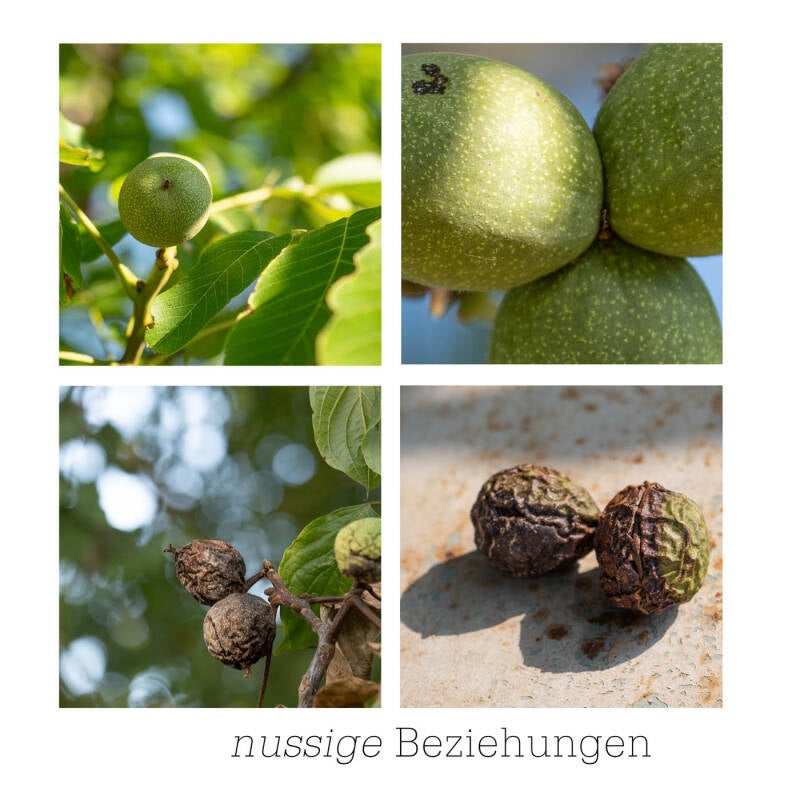 anke-woche1-4-bearbeitet-standard.jpg