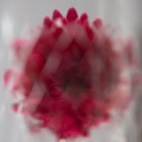 ankeplock-modul4-gerbera-1-standard.jpg