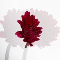 ankeplock-modul4-gerbera-5-standard.jpg