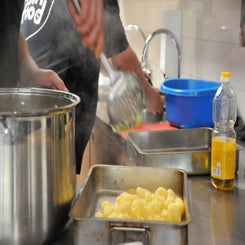 2025-0422-robin-food-30-standard.jpg