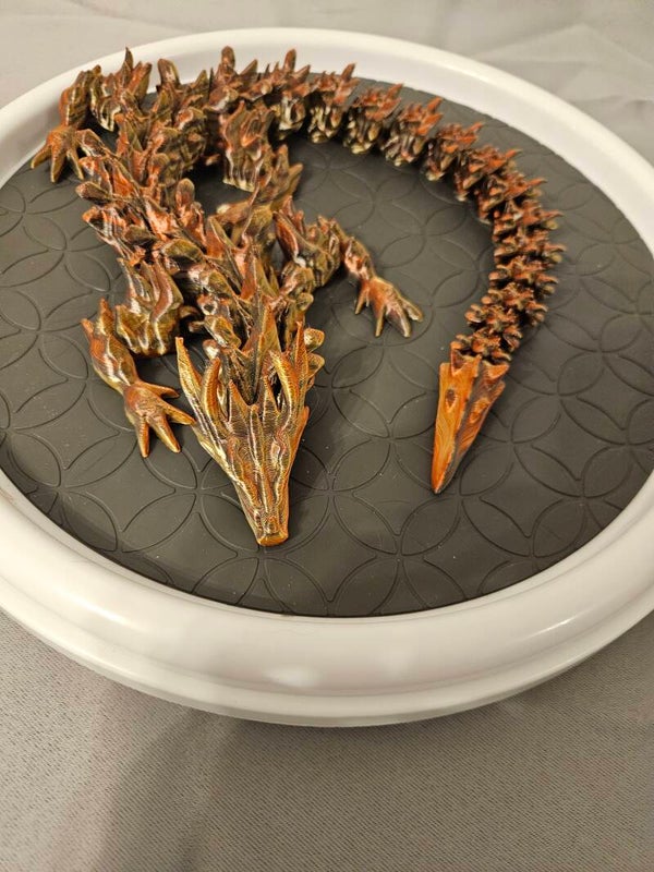 Dragon lizard