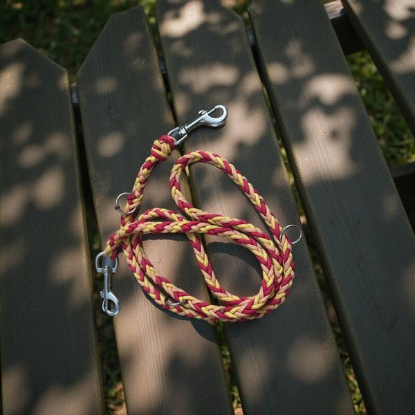 Laisse multipositions