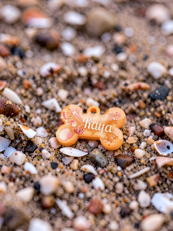 Modèle coquillage