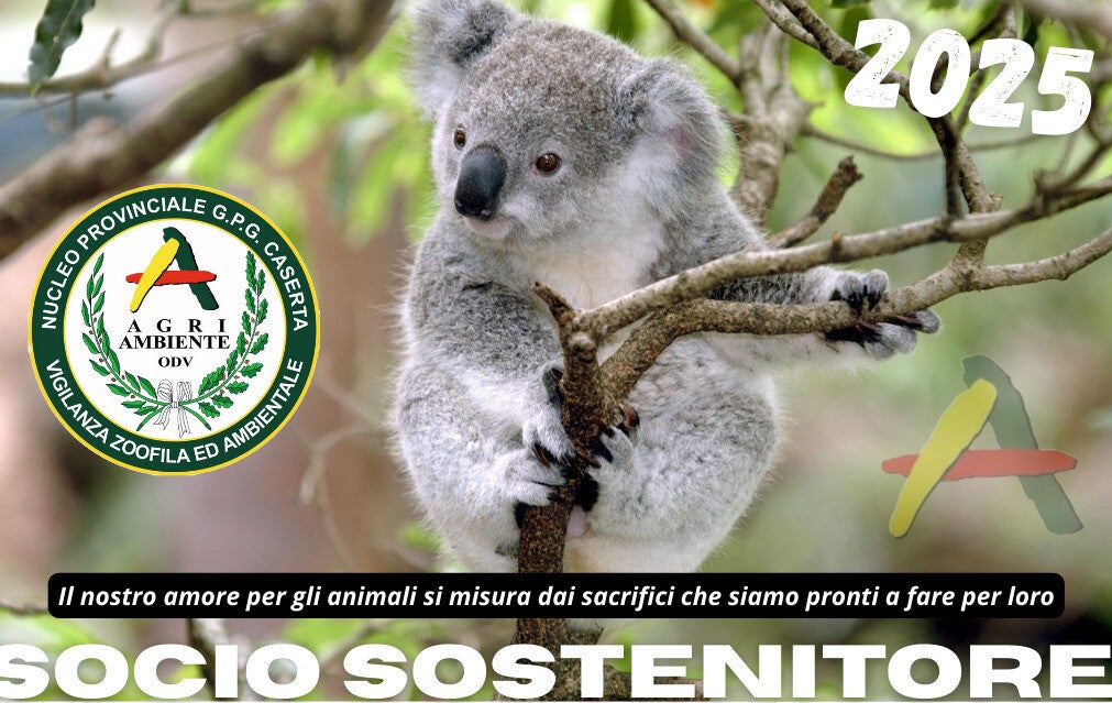 Diventa Socio Sostenitore