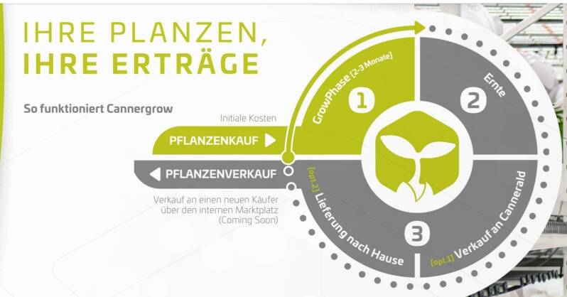 Ihte Pflanzen, ihre Erträge