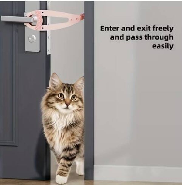 Pet door holder