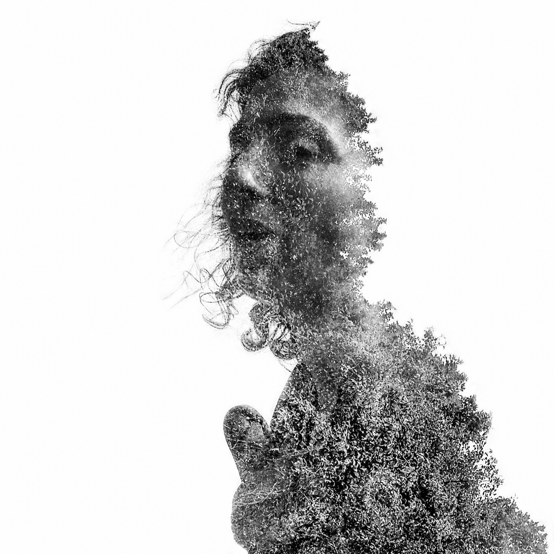 Portrait Créatif - Vitré, Rennes, Laval - Antonin Mahévas