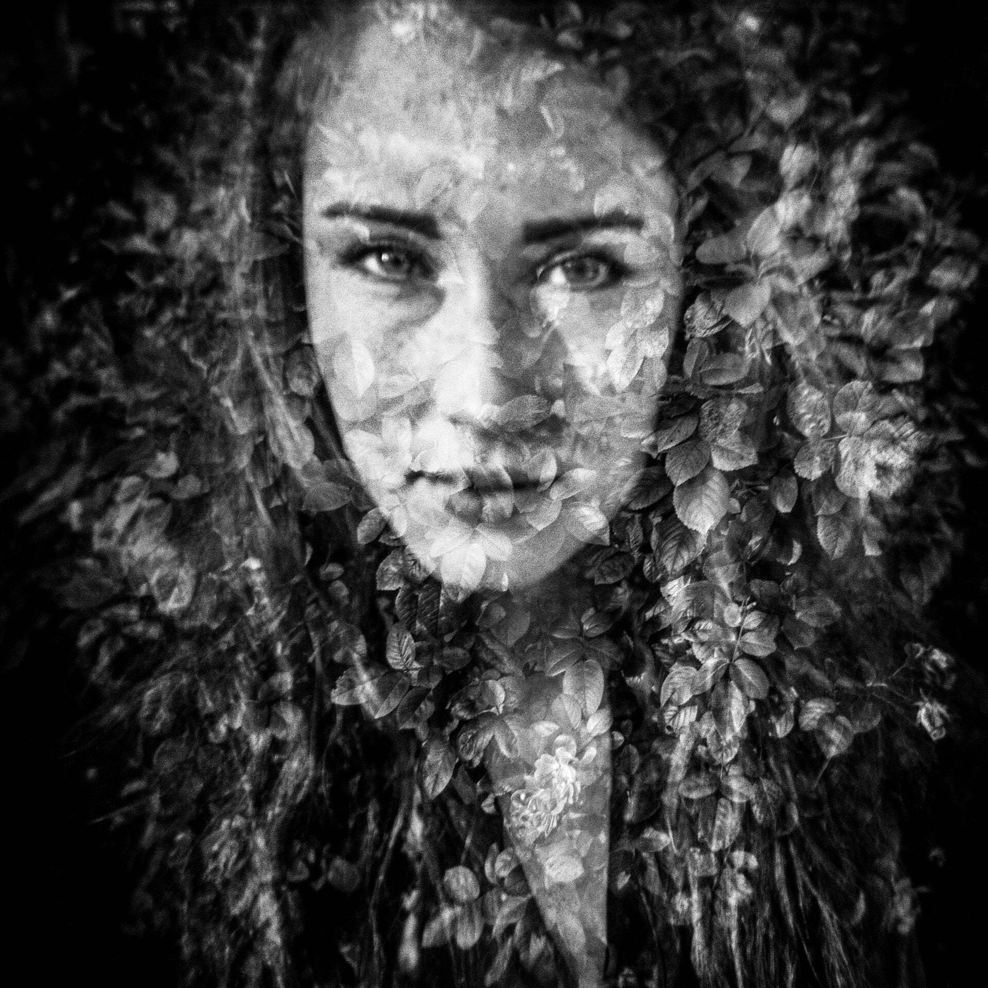 Portrait Créatif - Vitré, Rennes, Laval - Antonin Mahévas