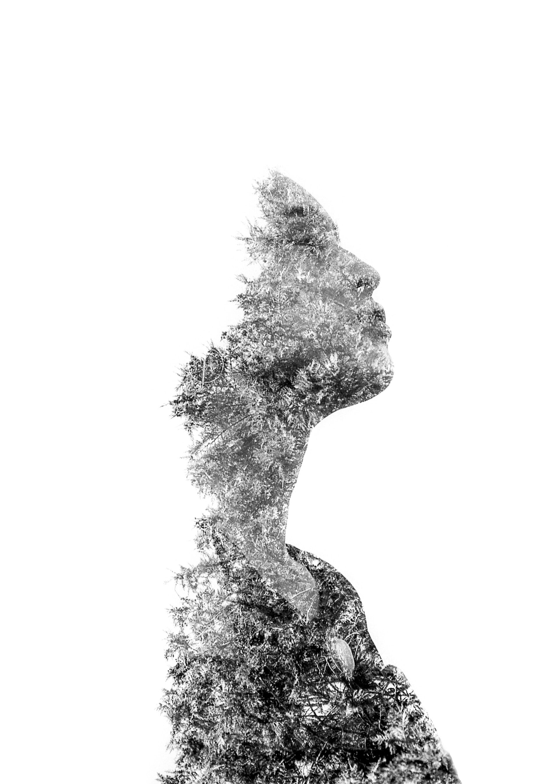 Portrait Créatif - Vitré, Rennes, Laval - Antonin Mahévas