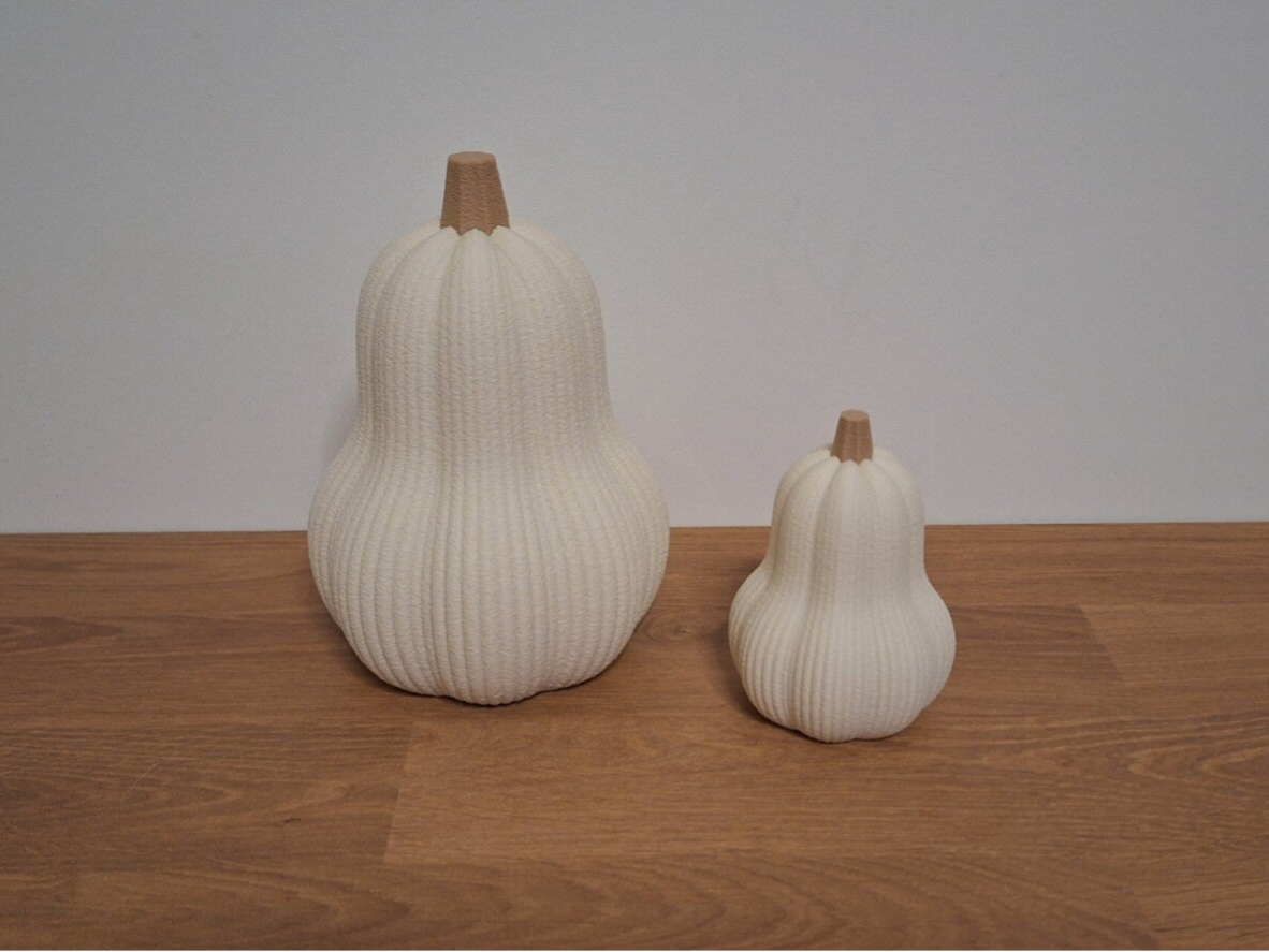Decoratieve Pompoenen – Set van 2