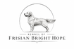 Frisian-Bright-Hope