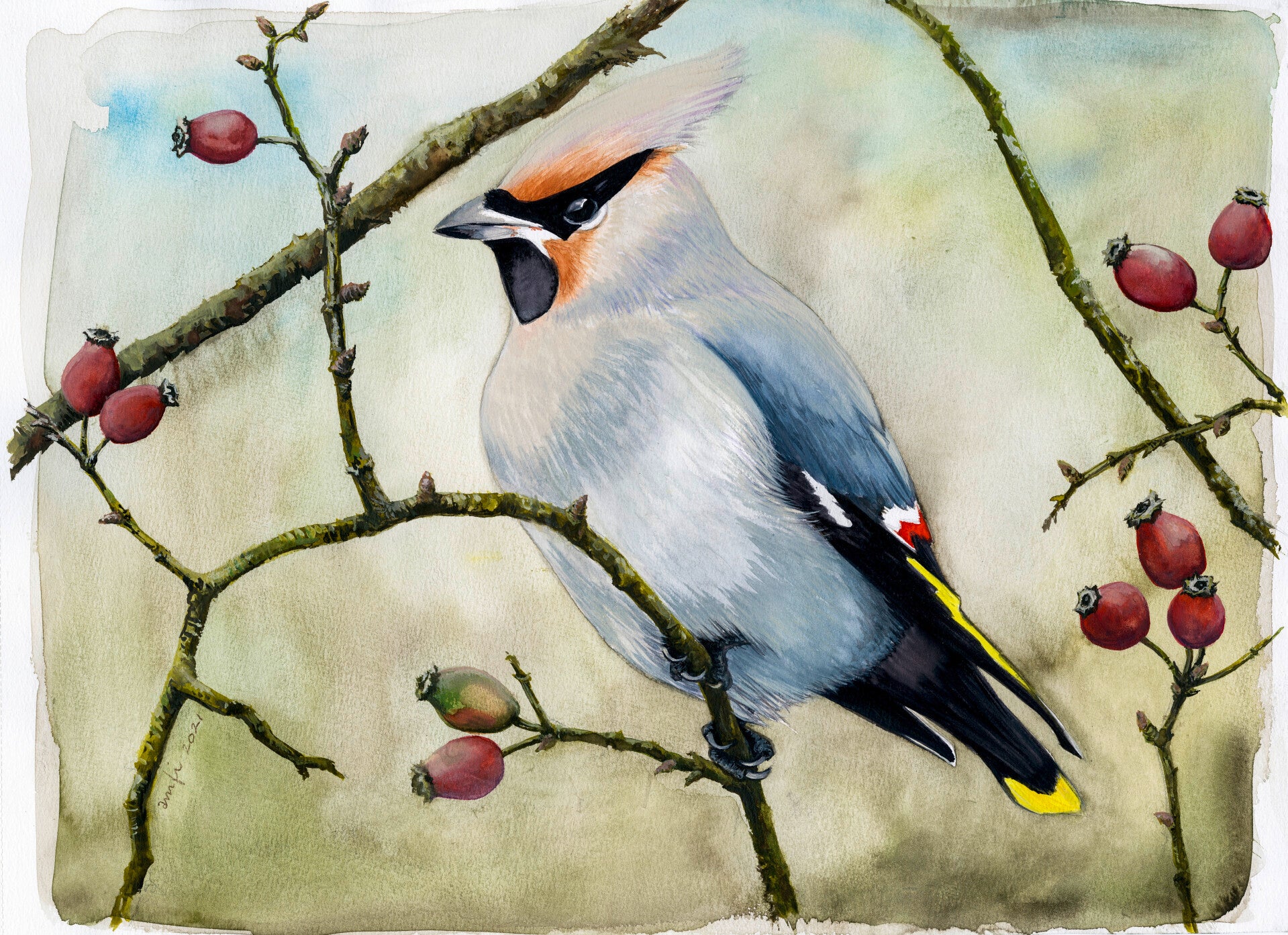 Fine-art print 20 x 30 - gelimiteerde oplage van 25