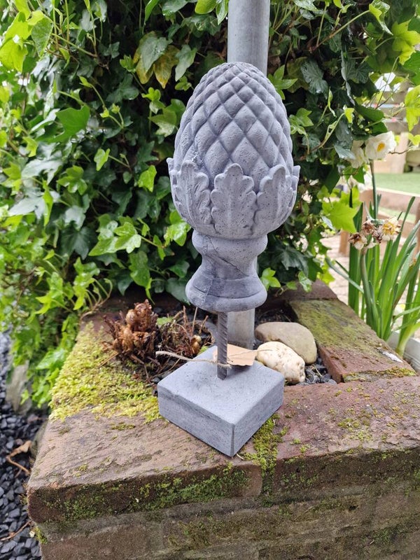 Dennenappel op voet