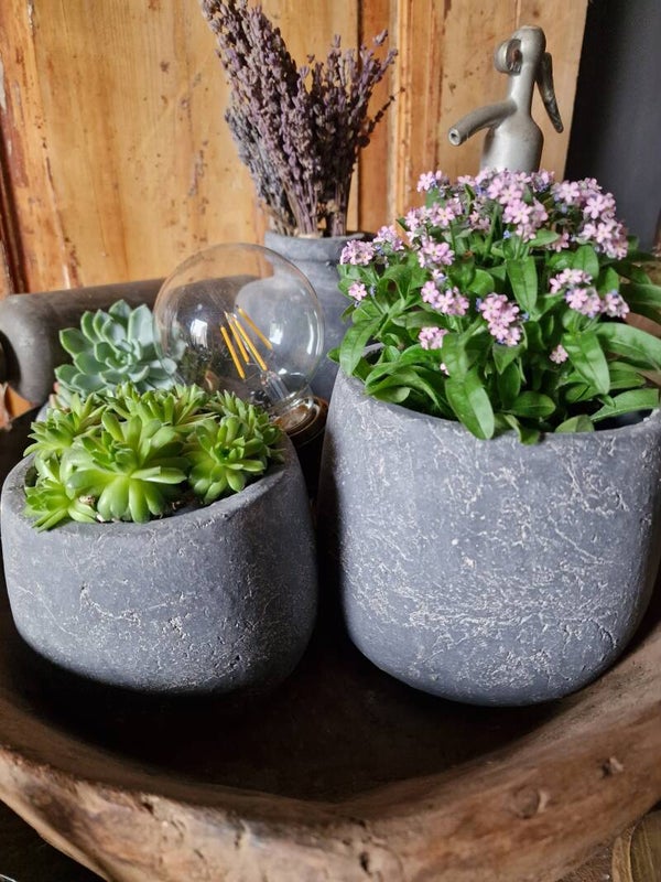 Aardewerk bloempot